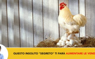 insolito-segreto-aumentare-vendite